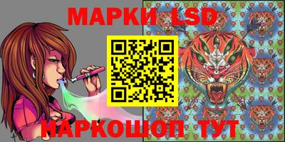 a pvp Владимир