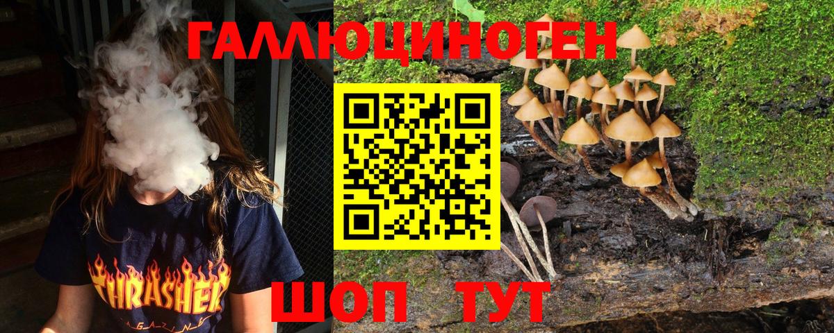 Псилоцибиновые грибы Psilocybe Артём