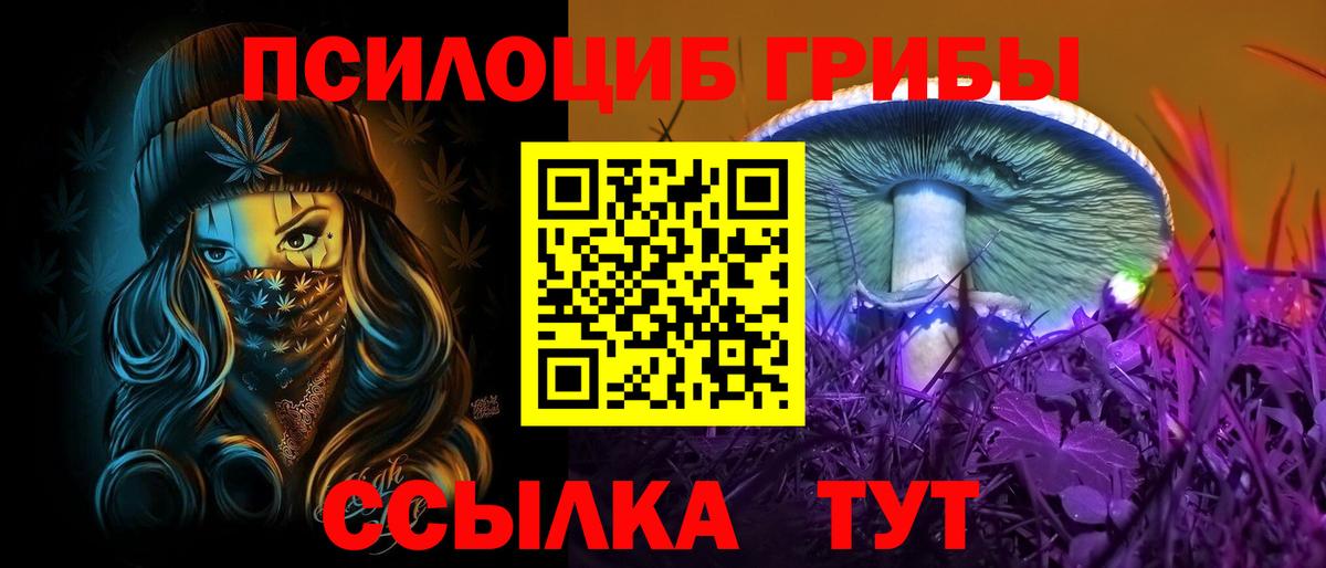 Артём  Псилоцибиновые грибы Psilocybe  Вход с VPN 