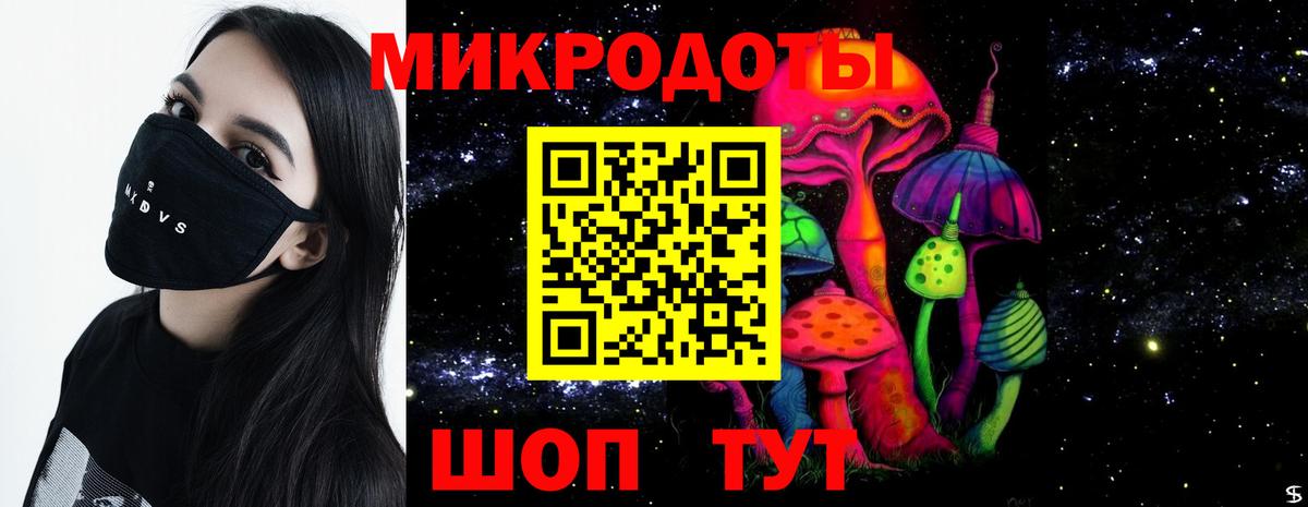 Галлюциногенные грибы прущие грибы  Артём  Псилоцибиновые грибы GOLDEN TEACHER 