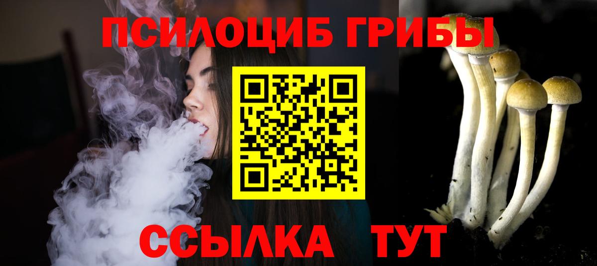 Псилоцибиновые грибы GOLDEN TEACHER Артём